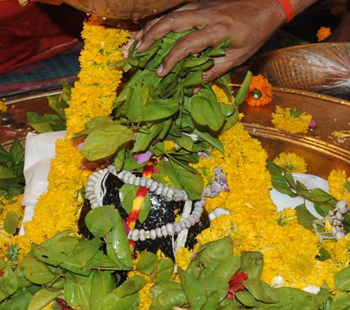 Bilwa Ashtakam Lord Shiva. Lord Shiva is usually worshiped with Bilva Leaves in the Shiva Bilvashtakam on karthika masam Monday's.